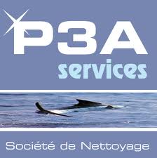 P3A SERVICES